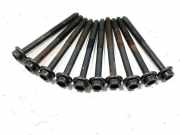 Zylinderkopfschraubensatz Seat Leon (1M)