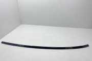 Dachzierleiste links BMW 4er Coupe (F32, F82) 7348007