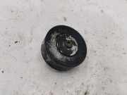 Riemenspanner BMW X3 (E83) xDrive 30 d