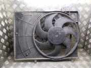 Elektrolüfter Peugeot 207 () 9680102880