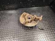 Achsschenkel (ABS) rechts vorne Peugeot 4008 ()