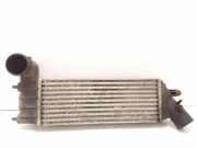 Ladeluftkühler CITROËN C8 (EA_, EB_) 2.0 HDi
