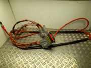 Kabelbaum Tesla Model S (5YJS) 109700000F