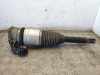 Rear right pneumo shock absorber BENTLEY CONTINENTAL FLYING SPUR (3W_) 6.0 3W5616002B Bild Rear right pneumo shock absorber BENTLEY CONTINENTAL FLYING SPUR (3W_) 6.0 3W5616002B