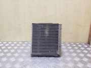A/C Matrix Heater FORD FUSION (JU_) 1.4 TDCi