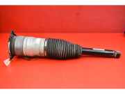 Stoßdämpfer links hinten Tesla Model S (5YJS) 600635206C