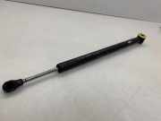 Türanschlag hinten rechts MERCEDES-BENZ S (W221) S 350 (221.056, 221.156) A2217300016