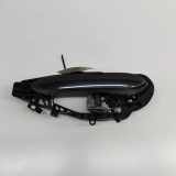 Türaußengriff hinten links BMW X3 (G01, F97) xDrive 20 i 9491461 9881775
