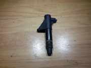 Zündspule PEUGEOT 607 (9D, 9U) 3.0 V6 24V 215951855