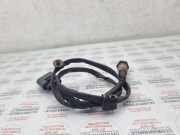 Sauerstoffsensor (Lambdasensor) AUDI A8 D3 (4E2, 4E8) 3.7 quattro 077906265AE