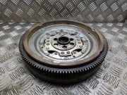 Schwungrad VW TIGUAN (5N_) 2.0 TDI 4motion