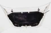 Motorhaube Citroen DS5 ()