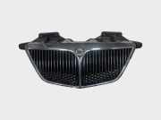 Vorderer oberer Gitter LANCIA PHEDRA (179_) 2.2 JTD (179AXC1A) 1489549693 1489546077