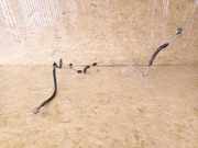 Kondensatorschlauch VW Passat B6 (3C2) 3C0820741A