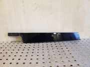 Türverkleidung vorne links RENAULT GRAND SCÉNIC III (JZ0/1_) 1.5 dCi