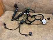 Türverkabelung hinten rechts MERCEDES-BENZ GL (X166) GL 500 4-matic (166.873) A0009983802