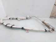 Dach SRS rechts NISSAN MURANO I (Z50) 3.5 4x4