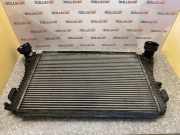 Ladeluftkühler VW TOURAN (1T1, 1T2) 1.9 TDI 3C0145805G