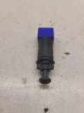 Bremspedalsensor Varlytė RENAULT LAGUNA II (BG0/1_) 1.9 dCi (BG08, BG0G) 110895