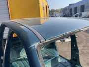 Dach VW AMAROK (2H_, S1B) 3.0 TDI 4motion