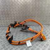 Battery Charging Cable AUDI Q8 E-TRON Sportback 55 quattro 4KE971125