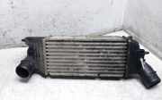 Ladeluftkühler PEUGEOT 407 SW (6E_) 2.0 HDi 135 874823NJ