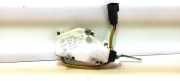 Motor für Tankdeckelverriegelung FORD GALAXY III (CK) 2.0 TDCi 7M0959775C