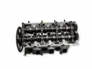 Motorkopf AUDI A7 Sportback (4GA, 4GF) 3.0 TDI 440113