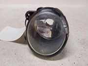 Nebelscheinwerfer vorne rechts BMW X5 (E53) 4.4 i 13101610