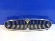 Kühlergrill oben Jaguar X-Type (X400) 8159593