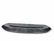 Bodenschutz der Frontstoßstange AUDI A5 (F53) 2.0 TDI 8W6807611