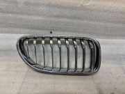 Vorderer oberer Gitter BMW 6 Gran Coupe (F06) 640 d 7370390