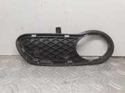 Gitter vorne unten MERCEDES-BENZ C (W203) C 220 CDI (203.006) A2038851023