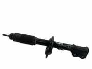 Stoßdämpfer vorne rechts SUZUKI SWIFT II Hatchback (EA, MA) 1.3 (SF413, AB35) 070331 4160162J31