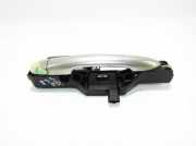 Türaußengriff vorne rechts RENAULT LAGUNA II (BG0/1_) 1.8 16V (BG06, BG0J, BG0M)