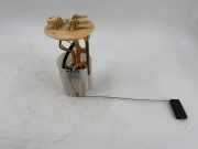 Kraftstofftankpumpe RENAULT MASTER III Furgon (FV) 2.3 dCi 170 FWD 172024101R