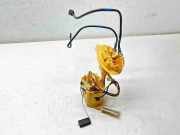 Kraftstoffpumpe Land Rover Range Rover Evoque I (L538) GJ329H307EA