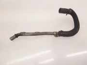 Schlauch Kühlung RENAULT LAGUNA Coupe (DT0/1) 3.0 dCi (DT03)