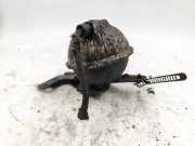 Unterdruckdose für Vergaser VW Polo III (6N2) 038120805