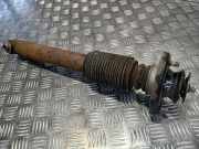 Stoßdämpfer rechts hinten BMW X5 (E53)