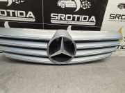 Vorderer oberer Gitter MERCEDES-BENZ CLK (C209) 320 (209.365) A2098800023