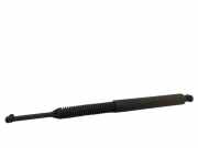 Heckklappe Gasdruckfeder rechts BMW 5 (F10) 530 d 001095
