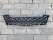 Kühlergrill oben Mercedes-Benz A-Klasse (W169) A1698850224