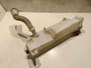 Behälter Scheibenwaschanlage Peugeot Expert II Kasten (VF) 9809803680