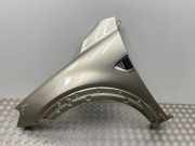 Kotflügel vorne links CHEVROLET CAPTIVA (C100, C140) 3.2 4WD