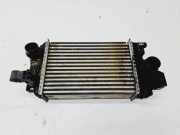 Ladeluftkühler Opel Meriva B () 13283253