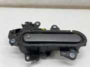 Türaußengriff hinten rechts TOYOTA C-HR (_X2_, _H2_) PHEV