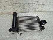 Ladeluftkühler NISSAN QASHQAI II (J11, J11_) 1.2 DIG-T 144614ED0A