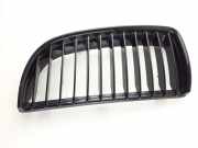 Vorderer oberer Gitter BMW 3 Touring (E91) 320 d xDrive 7120009