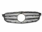 Vorderer oberer Gitter MERCEDES-BENZ C (W205) AMG C 43 4-matic (205.064) A2058800183